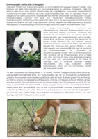 Vorschau - Arbeitsblätter - Primärkonsumenten Ernährungstypen Nahrungskette Unterrichtsmaterial Biologie Ökosystem - Seite 2
