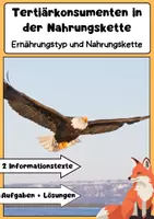 Vorschau - Arbeitsblätter - Tertiärkonsumenten in der Nahrungskette - Deckblatt