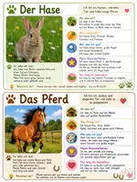 Vorschau - Arbeitsblätter - Mein Lieblingstier – Tiersteckbrief & Schreibanlass - Seite 3