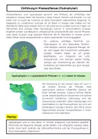 Vorschau - Arbeitsblätter - Wasserpflanzen (Hydrophyten) Unterrichtsmaterial - Seite 1
