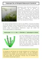Vorschau - Arbeitsblätter - Wasserpflanzen (Hydrophyten) Unterrichtsmaterial - Seite 2