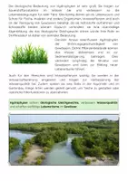 Vorschau - Arbeitsblätter - Wasserpflanzen (Hydrophyten) Unterrichtsmaterial - Seite 3