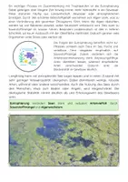 Vorschau - Arbeitsblätter - Trophiestufen Ökosystem See (Oligotroph bis Eutroph) - Seite 3