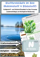 Vorschau - Arbeitsblätter - Stoffkreisläufe im Ökosystem See (Kohlenstoff & Stickstoff) - Deckblatt