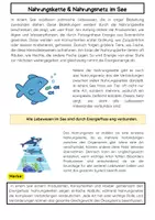 Vorschau - Arbeitsblätter - Nahrungskette & Nahrungsnetz im Ökosystem See - Seite 1