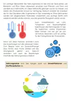 Vorschau - Arbeitsblätter - Nahrungskette & Nahrungsnetz im Ökosystem See - Seite 2