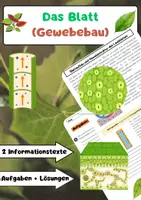 Vorschau - Arbeitsblätter - Das Blatt der Pflanze (Gewebebau) - Deckblatt