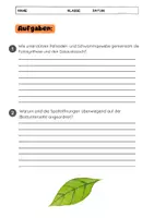 Vorschau - Arbeitsblätter - Das Blatt der Pflanze (Gewebebau) - Seite 3