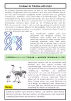 Vorschau - Arbeitsblätter - Evolutionsfaktoren Materialpaket: Mutation, Rekombination, Selektion & sexuelle Selektion - Seite 2
