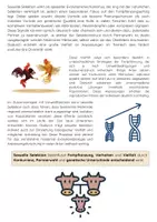Vorschau - Arbeitsblätter - Sexuelle Selektion als Evolutionsfaktor Evolutionsbiologie - Seite 2