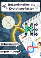 Vorschau - Arbeitsblätter - Rekombination als Evolutionsfaktor Biologie - Deckblatt