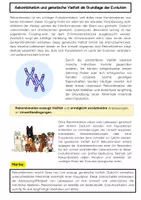 Vorschau - Arbeitsblätter - Rekombination als Evolutionsfaktor Biologie - Seite 1