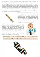 Vorschau - Arbeitsblätter - Rekombination als Evolutionsfaktor Biologie - Seite 2