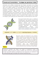 Vorschau - Arbeitsblätter - Mutation als Evolutionsfaktor: Evolution, Genmutation, natürliche Selektion - Seite 1