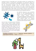 Vorschau - Arbeitsblätter - Mutation als Evolutionsfaktor: Evolution, Genmutation, natürliche Selektion - Seite 2