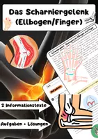 Vorschau - Arbeitsblätter - Gelenke Materialpaket: Gelenkbau, Scharniergelenk, Kugelgelenk & Knorpel - Seite 1