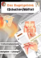 Vorschau - Arbeitsblätter - Das Kugelgelenk Schulter & Hüfte - Deckblatt