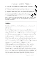 Vorschau - Stundenentwürfe - Frühling/Ostern - Materialpaket - Klasse 5-13 / 16 Materialien - Deutsch, LRS, Vertretung, DaZ, Freiarbeit - Seite 2