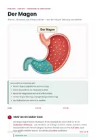 Vorschau - Stundenentwürfe - Der Magen – Biologie Lernheft Klasse 7-9 PLUS Stundenentwurf - Seite 1