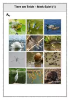 Vorschau - Arbeitsblätter - Tiere am Teich - 1. Klasse - Seite 2