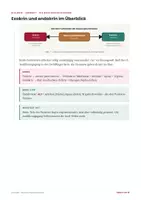 Vorschau - Stundenentwürfe - Bauchspeicheldrüse Biologie Klasse 7-9 Lernheft PLUS Stundenentwurf - Seite 2