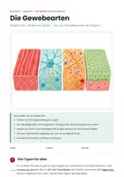 Vorschau - Stundenentwürfe - Verdauung & Organe Biologie Paket – 10 Lernhefte PLUS Stundenentwurf Klasse 7-9 - Seite 1