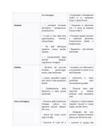 anteprima - UdA - SN_ UDA Stagioni Classe Seconda - Pagina 2