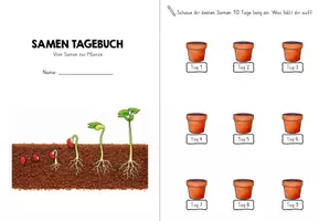 Vorschau - Arbeitsblätter - Samen Tagebuch - Vom Samen zur Pflanzen (Dokumentation und Beobachtung für Klasse 1-2) - Seite 1
