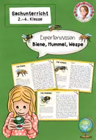 Vorschau - Stationenlernen - Biene Sachunterricht Wissenskartei | Hummel Wespe Klasse 2-4 - Deckblatt