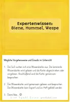 Vorschau - Stationenlernen - Biene Sachunterricht Wissenskartei | Hummel Wespe Klasse 2-4 - Seite 3