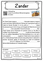 Vorschau - Unterrichtsreihen - Zander Lückentext mit Wortspeicher Hörverstehen und Suchsel - Seite 1