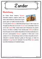 Vorschau - Unterrichtsreihen - Zander Lückentext mit Wortspeicher Hörverstehen und Suchsel - Seite 2