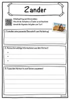 Vorschau - Unterrichtsreihen - Zander Lückentext mit Wortspeicher Hörverstehen und Suchsel - Seite 3