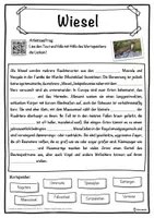 Vorschau - Unterrichtsreihen - Wiesel Lückentext mit Wortspeicher Hörverstehen und Suchsel - Seite 1