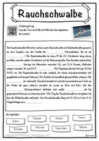 Vorschau - Unterrichtsreihen - Rauchschwalbe Lückentext mit Wortspeicher Hörverstehen und Suchsel - Seite 1