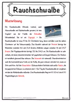 Vorschau - Unterrichtsreihen - Rauchschwalbe Lückentext mit Wortspeicher Hörverstehen und Suchsel - Seite 2