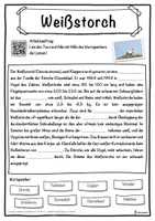Vorschau - Unterrichtsreihen - Weißstorch Lückentext mit Wortspeicher Hörverstehen und Suchsel - Seite 1