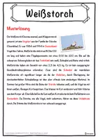 Vorschau - Unterrichtsreihen - Weißstorch Lückentext mit Wortspeicher Hörverstehen und Suchsel - Seite 2