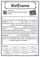 Vorschau - Unterrichtsreihen - Weißtanne Lückentext mit Wortspeicher Hörverstehen und Suchsel - Seite 1
