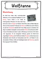 Vorschau - Unterrichtsreihen - Weißtanne Lückentext mit Wortspeicher Hörverstehen und Suchsel - Seite 2