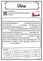 Vorschau - Unterrichtsreihen - Ulme Lückentext mit Wortspeicher Hörverstehen und Suchsel - Seite 1