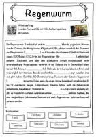 Vorschau - Unterrichtsreihen - Regenwurm Lückentext mit Wortspeicher Hörverstehen und Suchsel - Seite 1