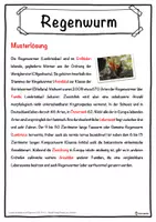 Vorschau - Unterrichtsreihen - Regenwurm Lückentext mit Wortspeicher Hörverstehen und Suchsel - Seite 2