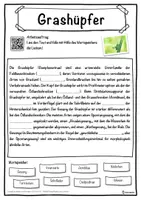 Vorschau - Unterrichtsreihen - Grashüpfer Lückentext mit Wortspeicher Hörverstehen und Suchsel - Seite 1
