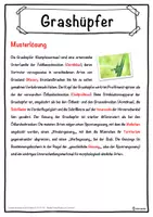 Vorschau - Unterrichtsreihen - Grashüpfer Lückentext mit Wortspeicher Hörverstehen und Suchsel - Seite 2