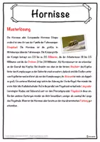 Vorschau - Unterrichtsreihen - Hornisse Lückentext mit Wortspeicher Hörverstehen und Suchsel - Seite 2