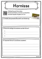 Vorschau - Unterrichtsreihen - Hornisse Lückentext mit Wortspeicher Hörverstehen und Suchsel - Seite 3