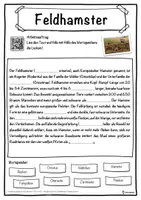 Vorschau - Unterrichtsreihen - Feldhamster Lückentext mit Wortspeicher Hörverstehen und Suchsel - Seite 1