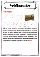 Vorschau - Unterrichtsreihen - Feldhamster Lückentext mit Wortspeicher Hörverstehen und Suchsel - Seite 2
