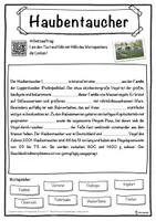 Vorschau - Unterrichtsreihen - Haubentaucher Lückentext mit Wortspeicher Hörverstehen und Suchsel - Seite 1